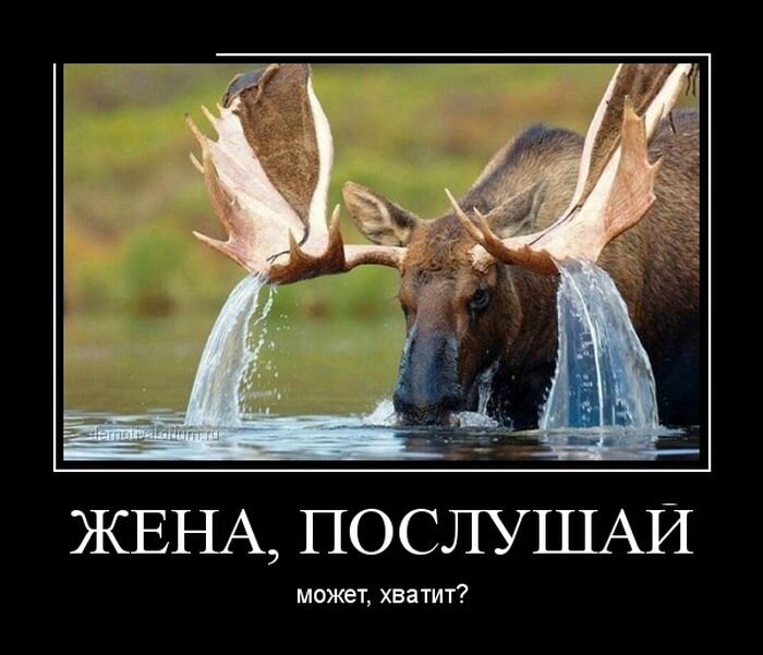 Видимо долго по лесу гулял =)