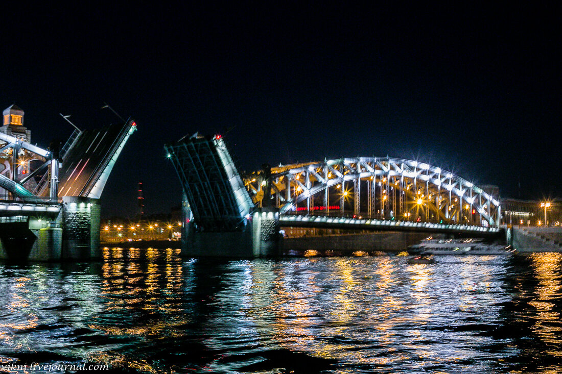 Зачем в питере разводят