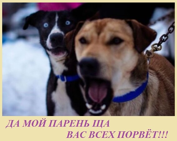изображение взято с просторов интернета