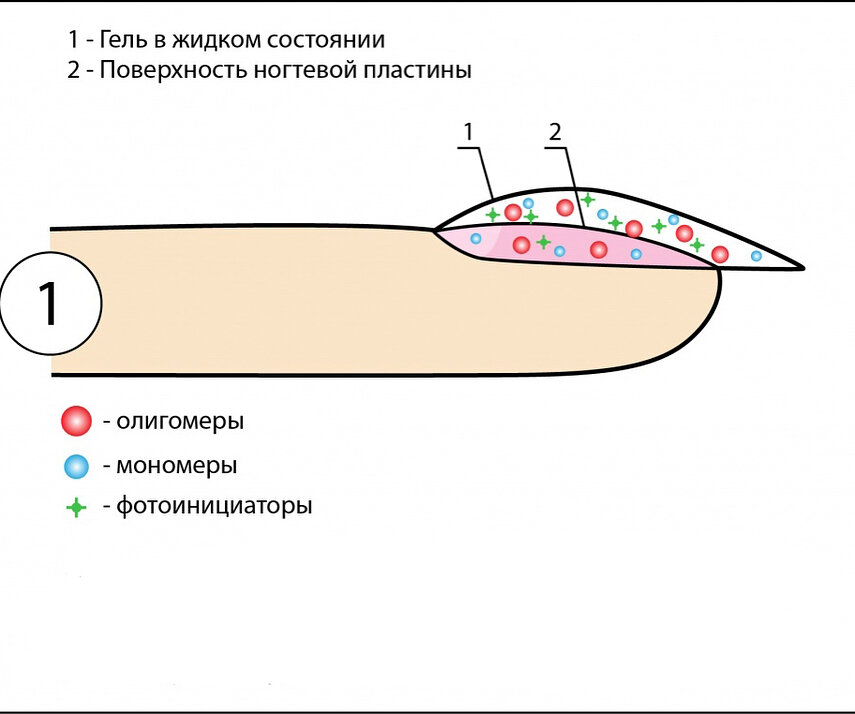 Снятие материала с ногтей фрезой схема