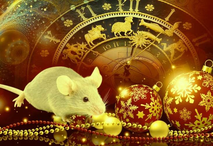 Чего ожидать Водолеям в году Белой Крысы