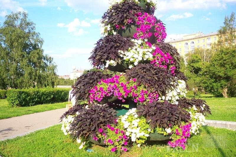 Лучшие варианты вертикальных грядок и клумб на даче | Растения, Однолетние растения, Клумбы