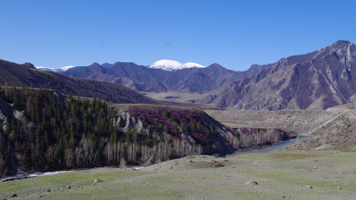 Природа Алтая - удивительная и завораживающая