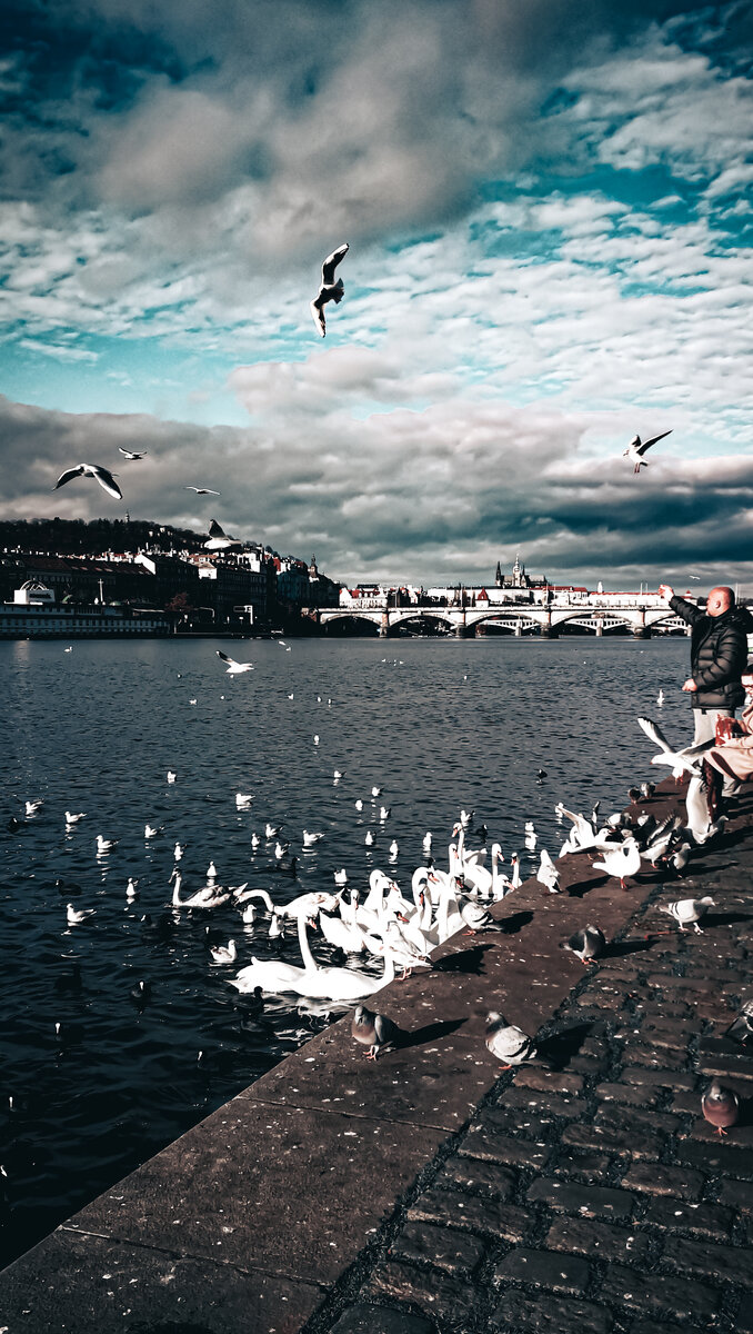 Прага, январь 2020 г.