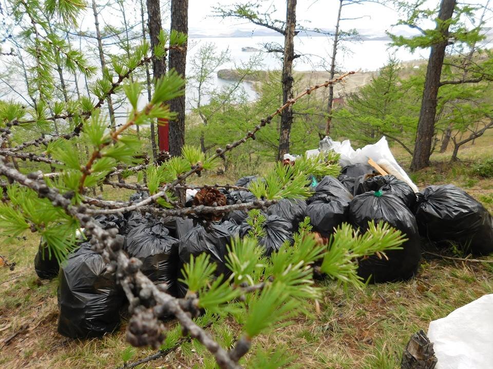 Лес завалило
