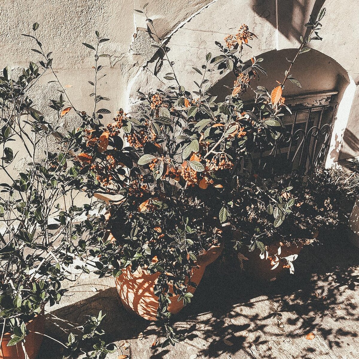 Фото моё