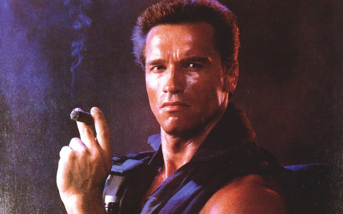 Железный Арни. Источник: Яндекс. Картинки