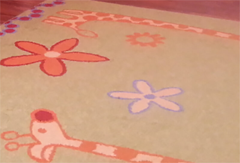 Своих фото клубники не сохранилось, поэтому будет палас с цветочками:)