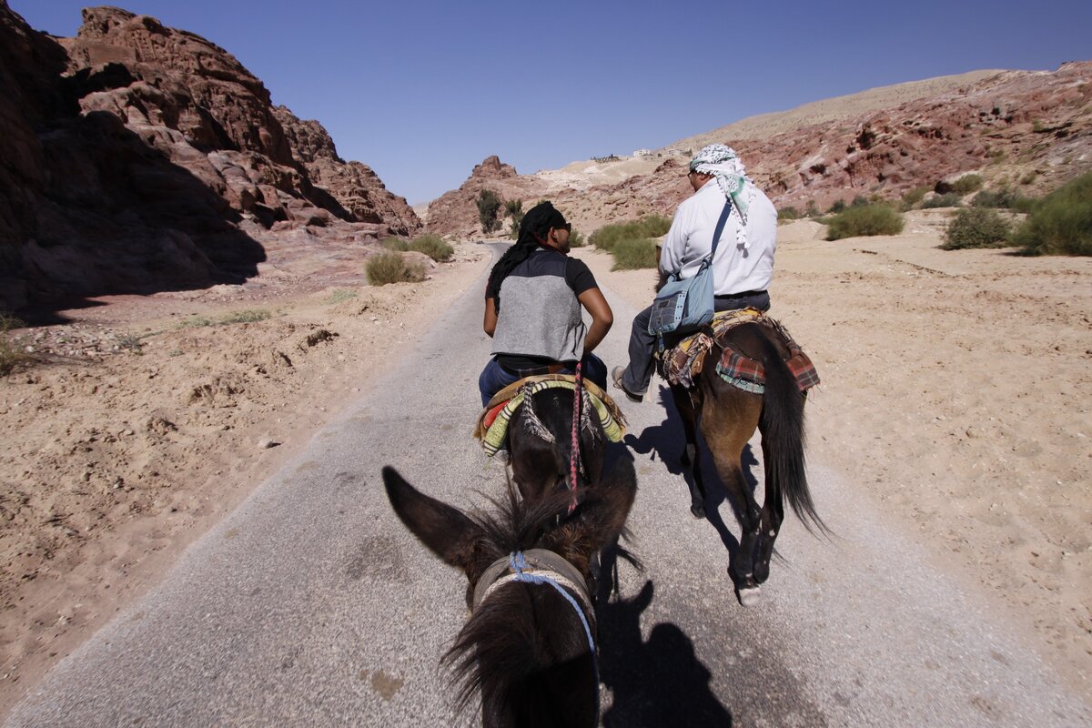 Поехали в Петру! (на самом деле это мы уже обратно, потому что ноги отваливались)