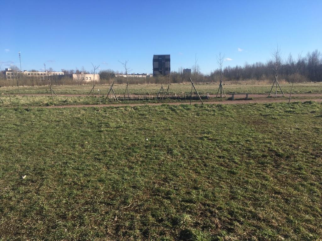 Без комментариев