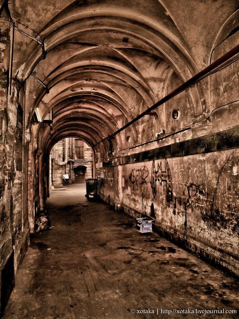 Яндекс. Картинки.