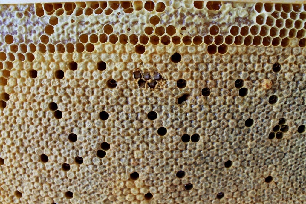 Фото взято из Яндекс.Картинок