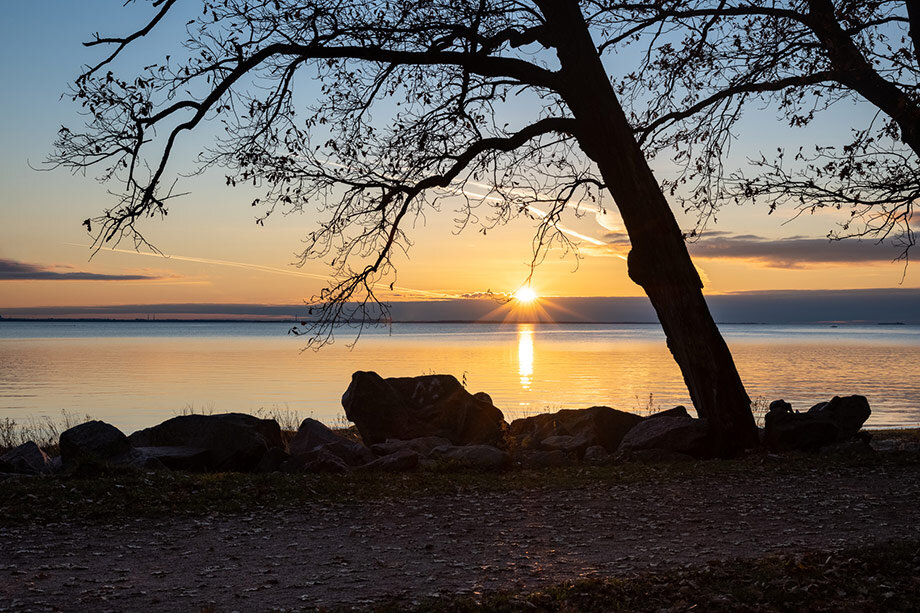 Результат склейки трёх экспозиций в Lightroom: хорошо заметен ореол вокруг ствола дерева. Фото автора обзора, октябрь 2020 г.