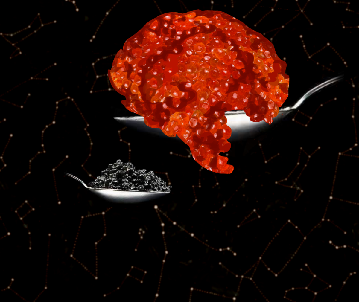 В икре рыб больше всего белка - тирозина, необходимого для образования серотонина