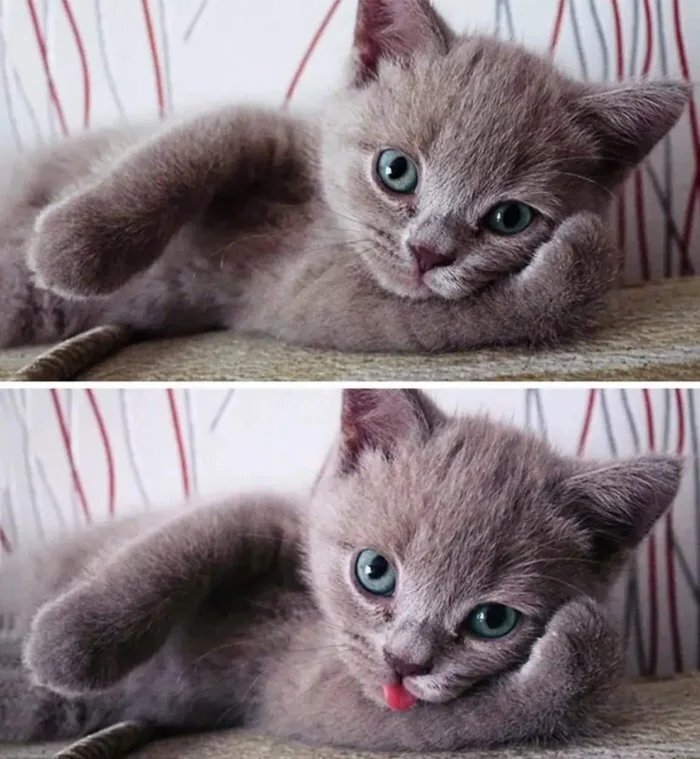 Милая картинка. 