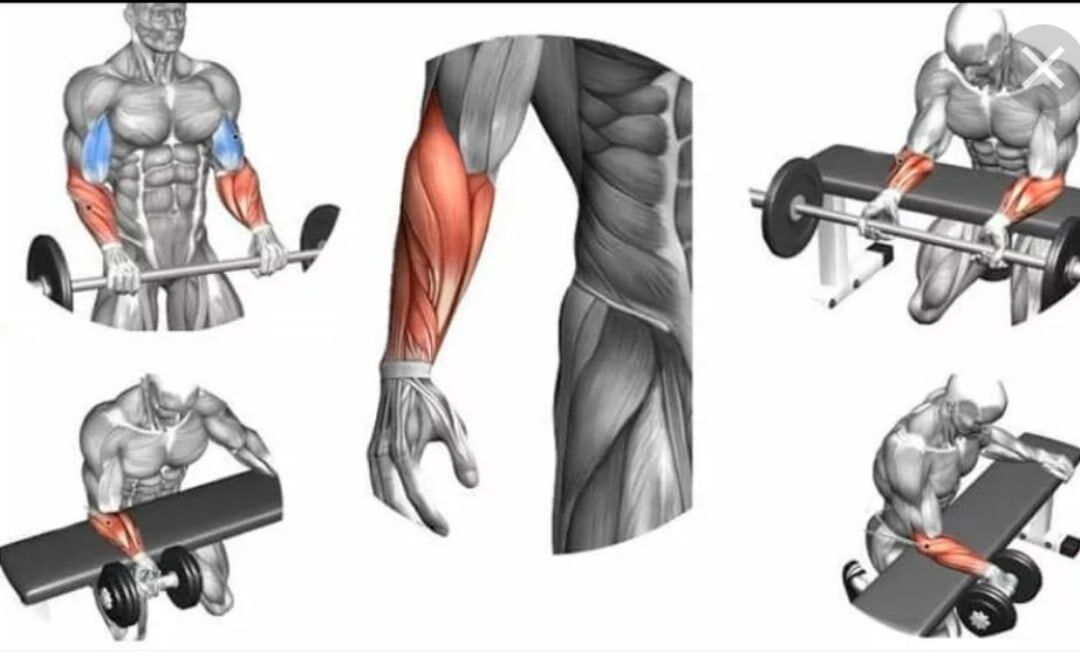 Упражнения на кисти рук