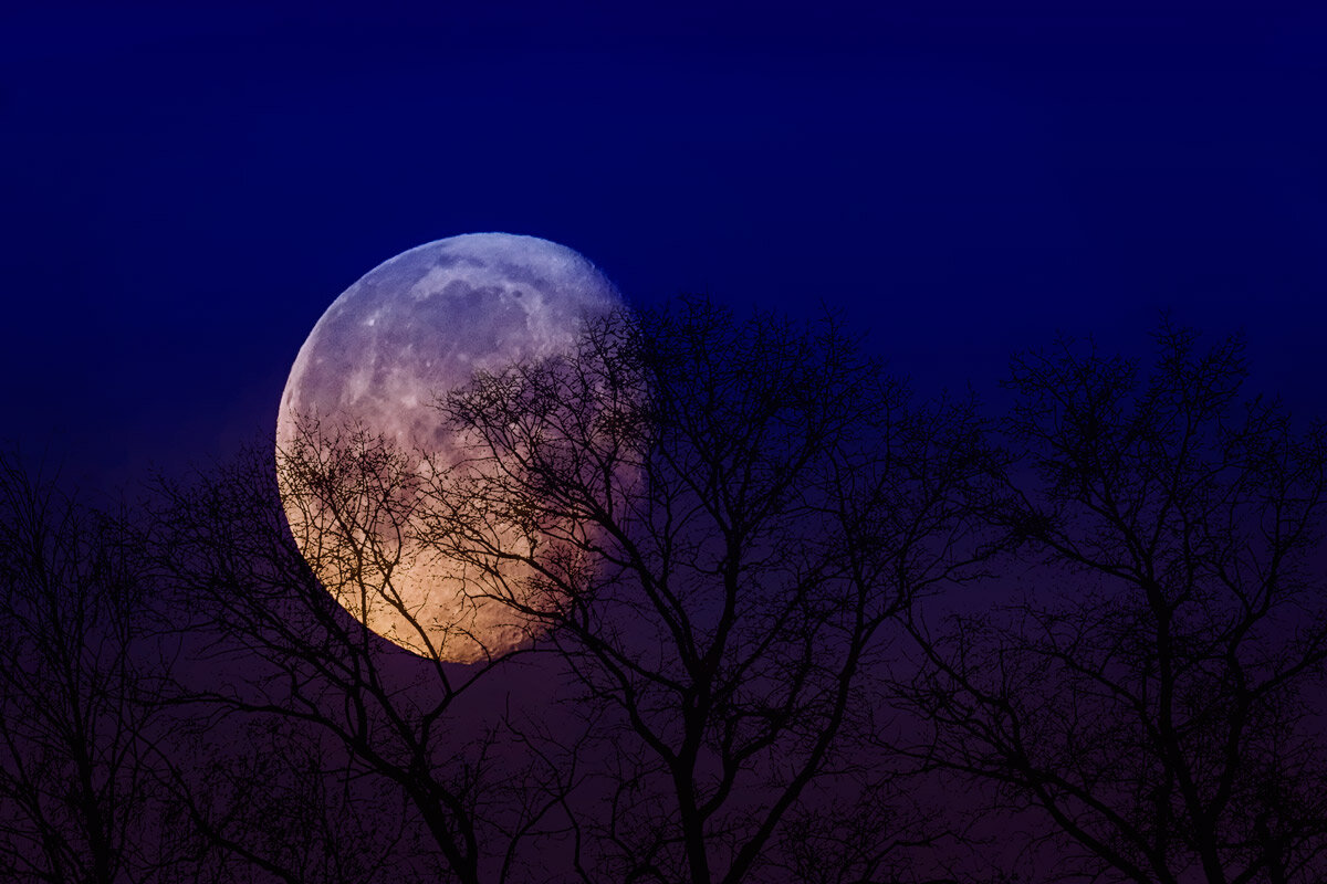 https://photocentra.ru/images/main71/712639_main.jpg