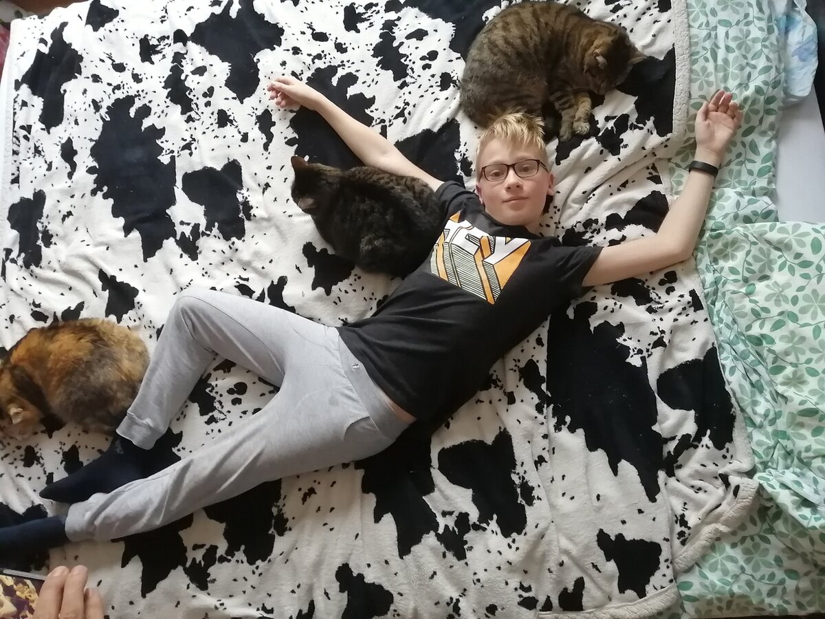 Мои домашние животные. Фото из личного архива автора.