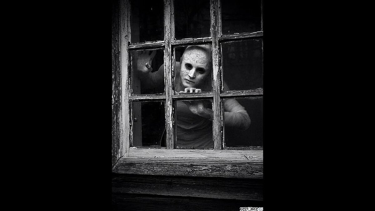 Источник яндекс