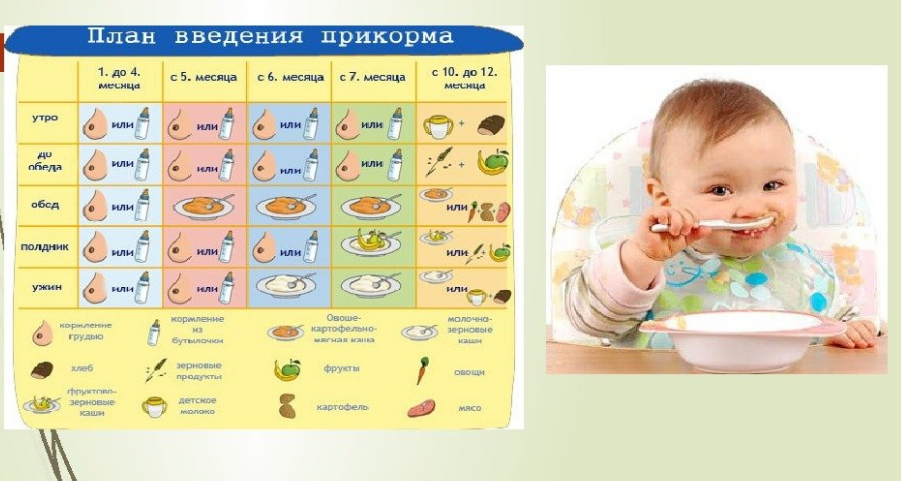 Фотография взята из источника yandex.ru 