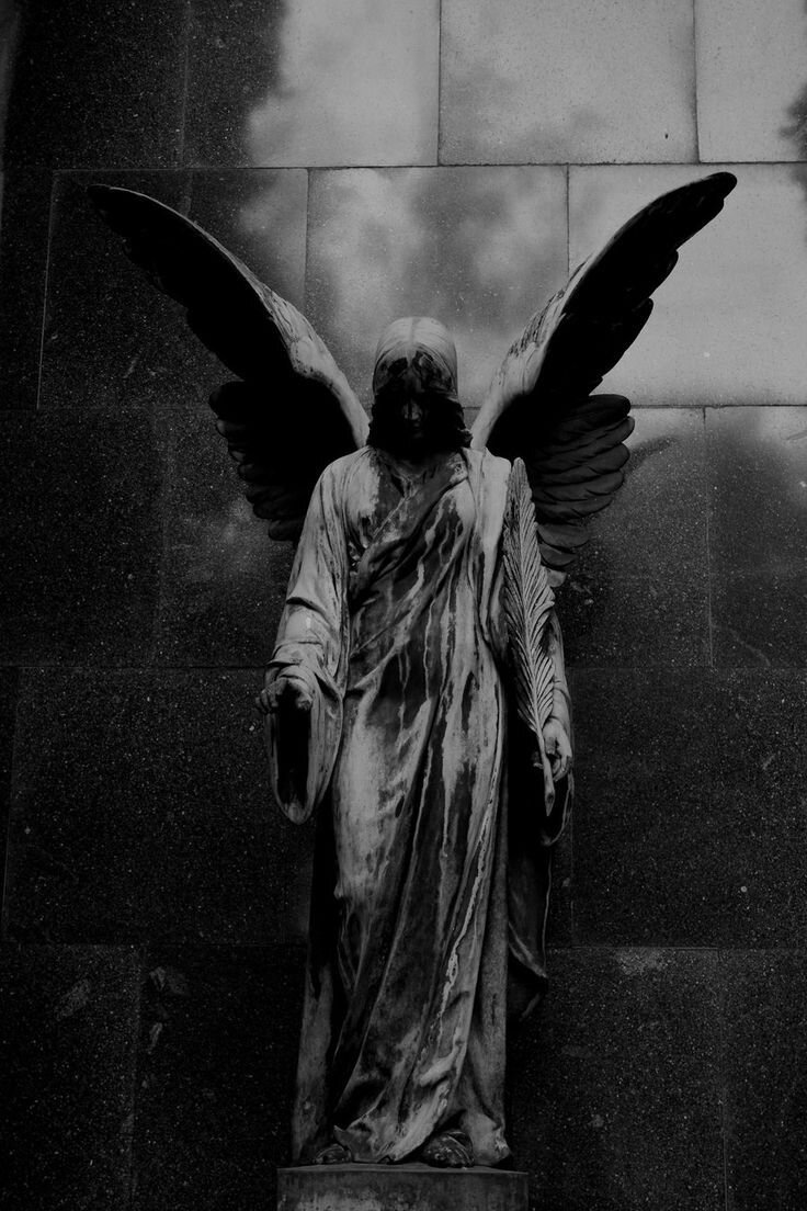 Изображение из открытых источников.