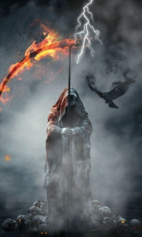 Коса и все вокруг 