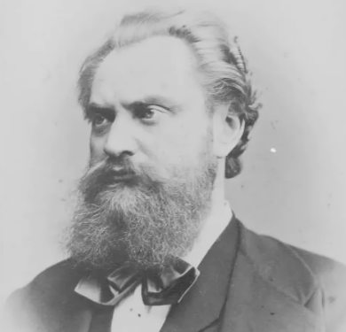 Альберт Фридрих Эмиль Ниманн, немецкий химик (1834 - 1861)