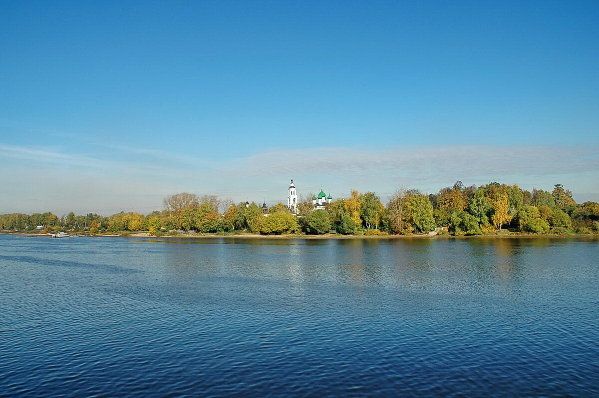 Берег Волги Сосновый лес Углич