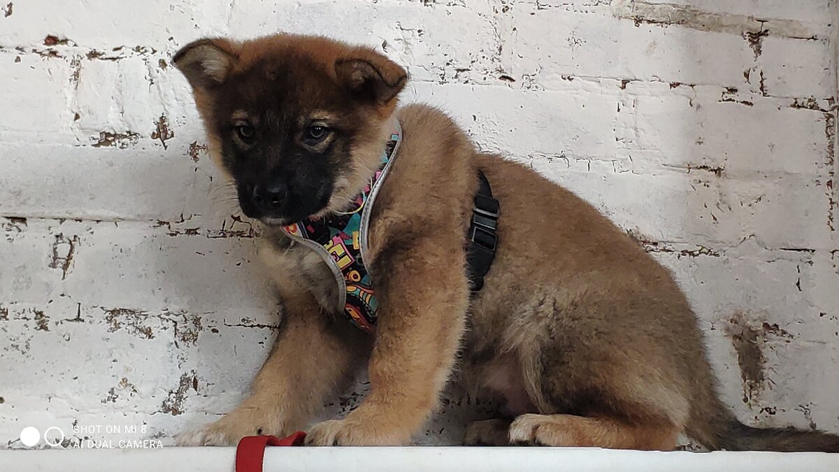 а иногда и серьезны