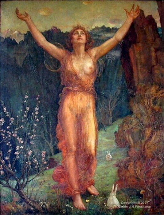 Азия. Джордж Уилсон. 1881 - 1884 гг. 