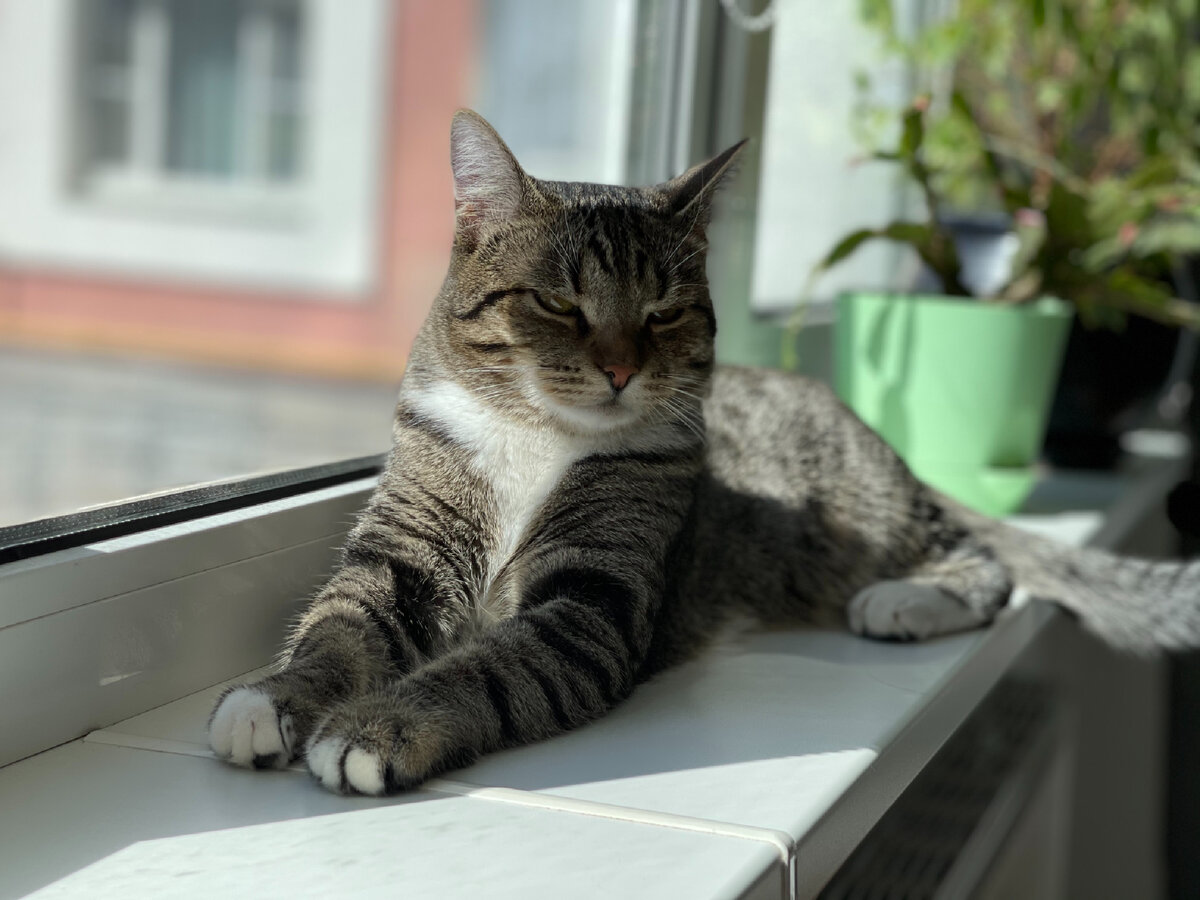 Ну какова красота