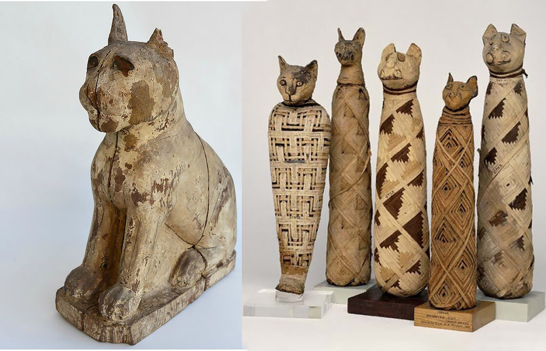 В египте поклонялись кошкам. Почитание кошек в древнем Египте. Мумифицированные кошки Египта. Кошки в Египте. Египетский культ кошки.