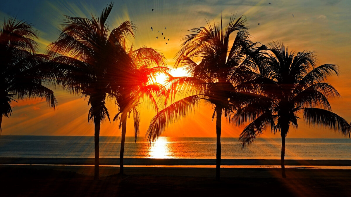 Использован фотоматериал с бесплатного источника https://unsplash.com/