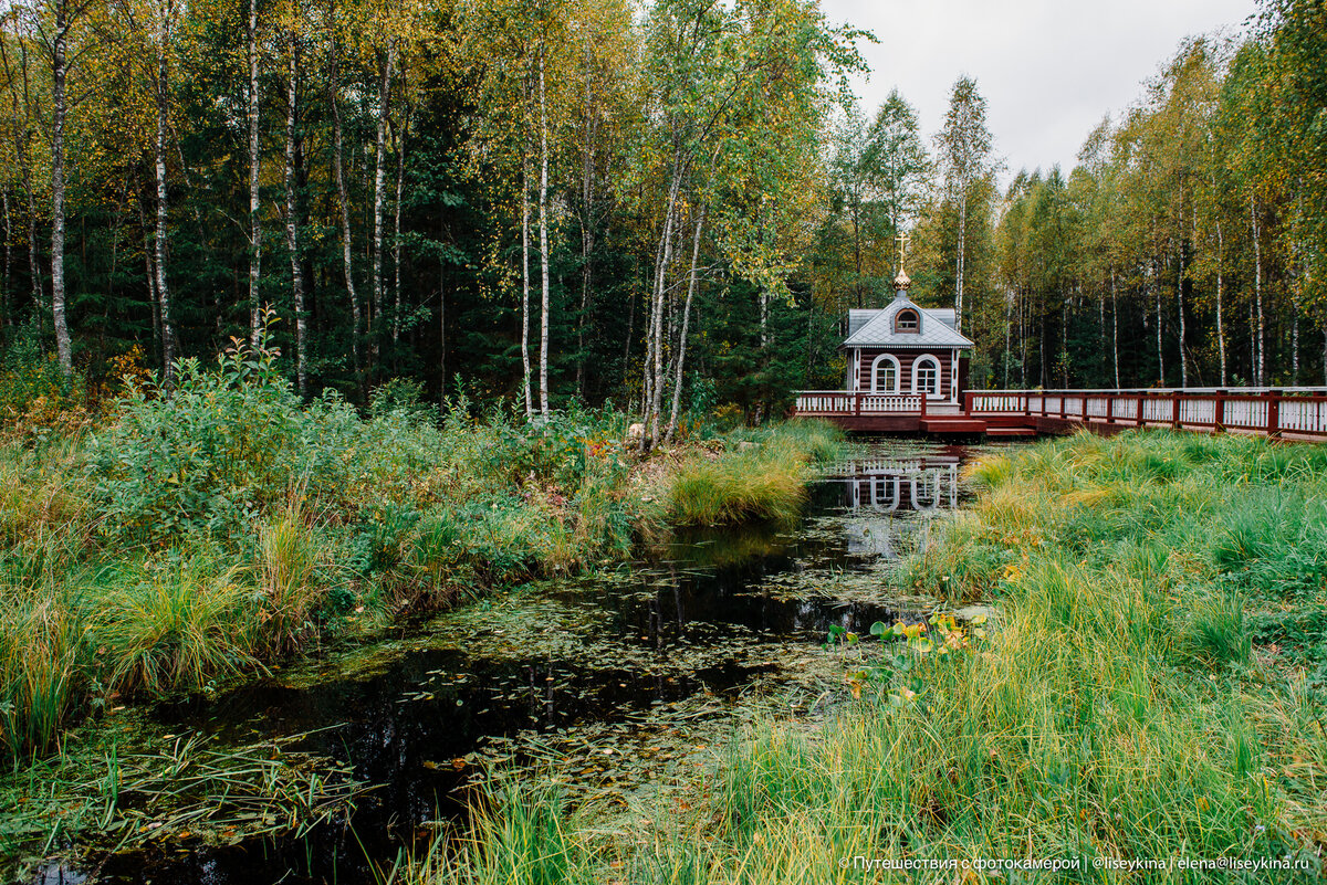 Исток Волги, современное фото