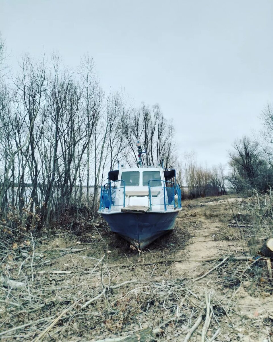 Можно сделать отличные стилизованные селфи
