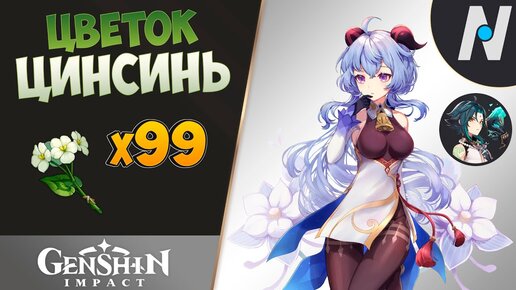 ЦВЕТОК ЦИНСИНЬ - СБОР ВСЕХ. ЛУЧШИЙ МАРШРУТ | GENSHIN IMPACT