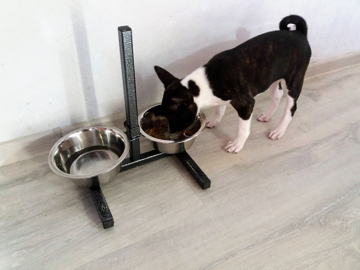 Фарго кушает