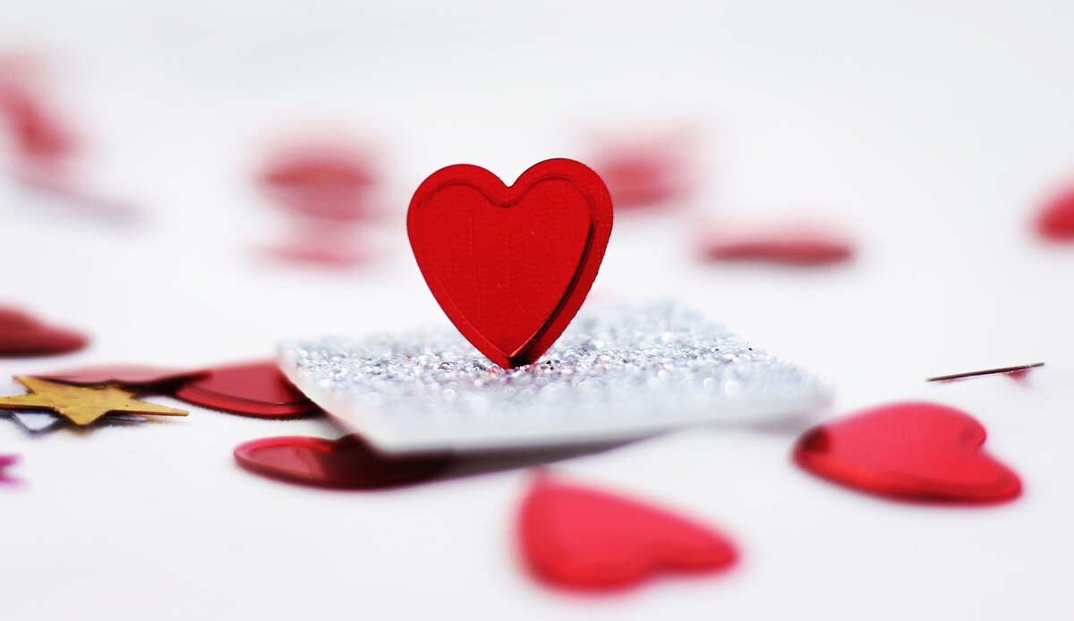 Фото взято с сайта: pexels.com 