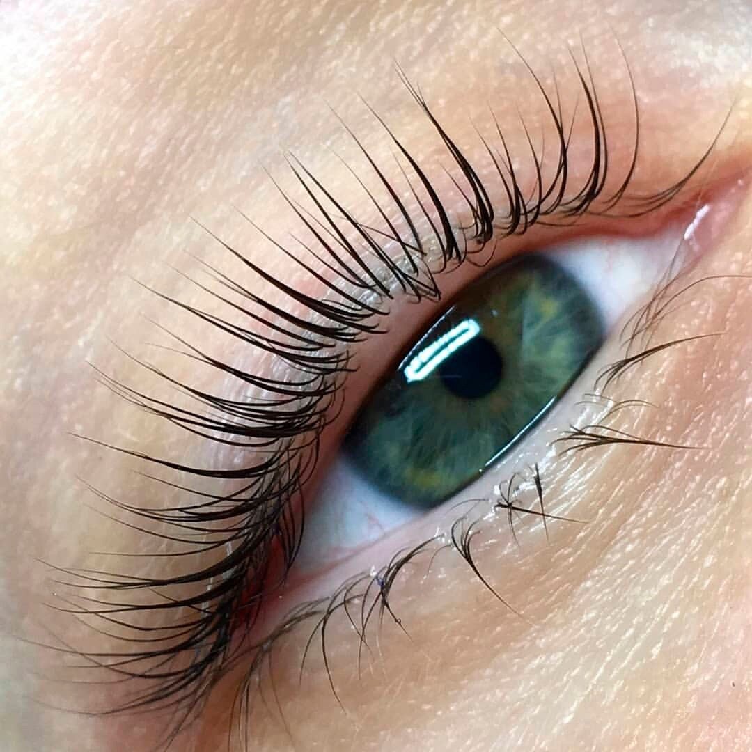 НЕОТЪЕМЛЕМАЯ ПОМОЩЬ И ЛУЧШАЯ ЭКОНОМИЯ ВРЕМЕНИ, ДЕНЕГ И НЕРВОВ ДЛЯ ЛАМИМЕЙКЕРА