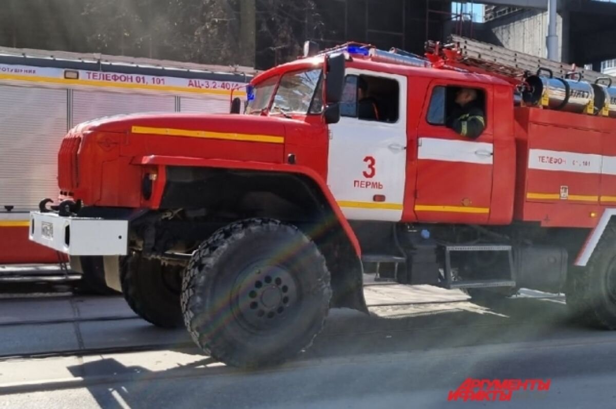    В Пермском крае трое детей пострадали на пожаре в квартире жилого дома