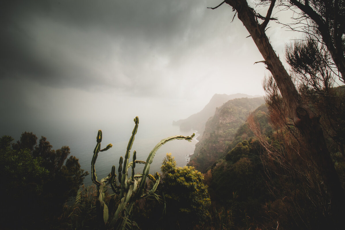 фото с сайта https://unsplash.com/