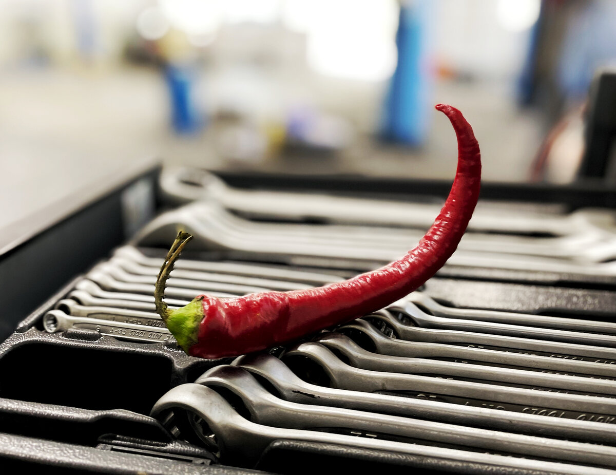 Чили Сервис