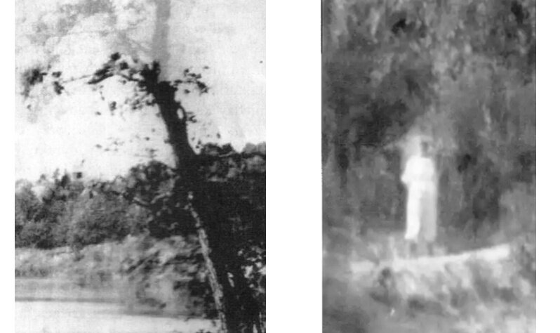 Слева то самое дерево, сломанное бурей. На фотографии запечатлена и крона дерева в виде тени. Справа – человек в белом. Генрих Силанов предполагал, что, возможно, человек на снимке был пчеловодом. 