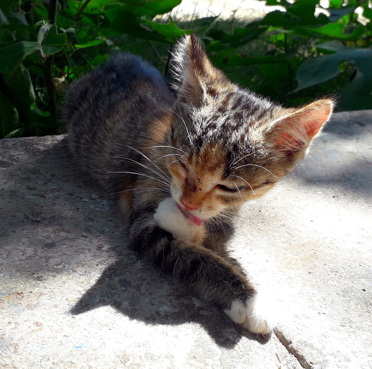 Фото автора