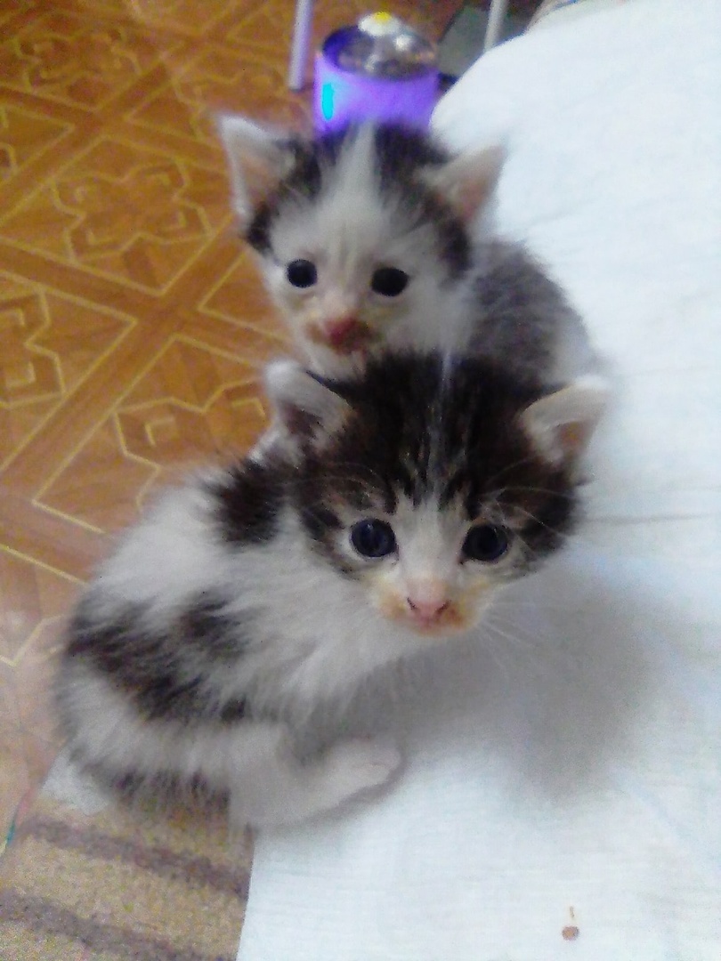 Марсель и Лион