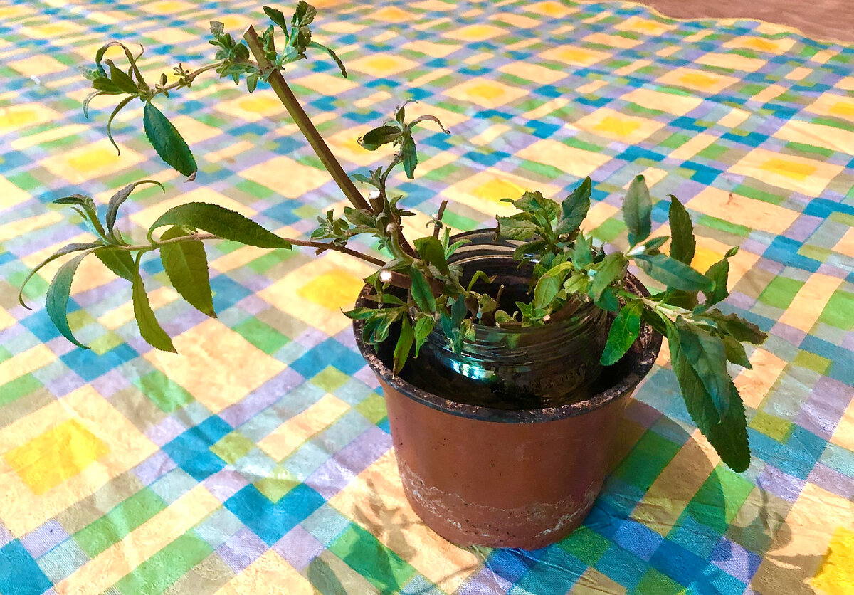 Личное фото 