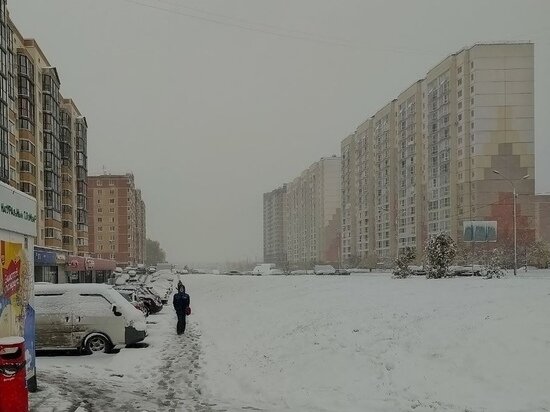     Елена Балуева / МК в Новосибирске