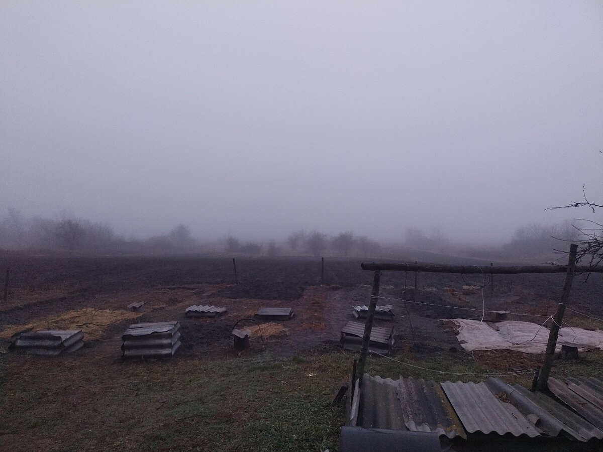 Дааа, погодка-то ничуть не лучше была....