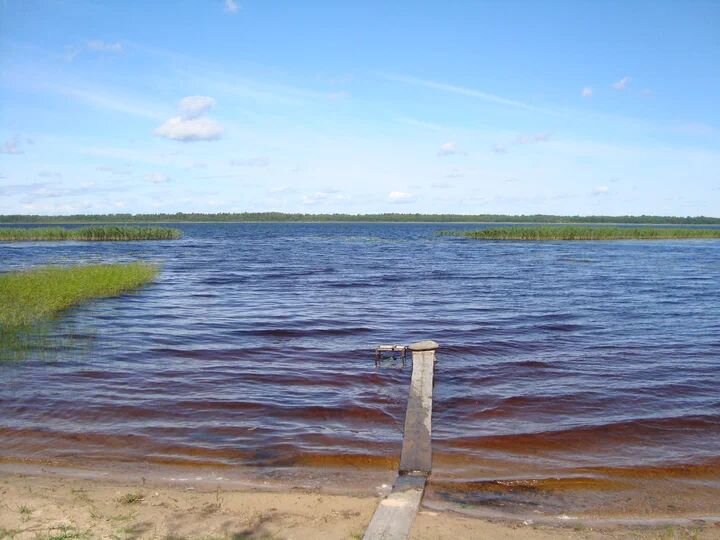Напротив расположен остров. Это его берег мы видим на заднем плане. Фото автора