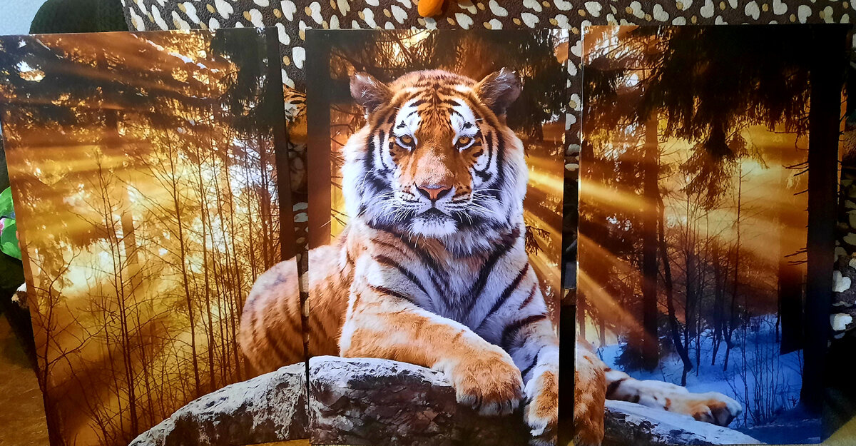 Сестра подарила сыну такую модульную картину) ну а мы деньги подарили) 